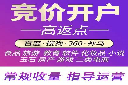 电商平台信息流广告的创意与执行案例分析